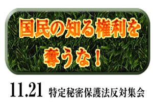 国民の知る権利を奪うな！ 11.21 特定秘密保護法反対集会